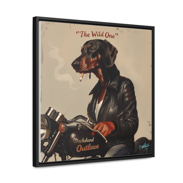 "The Wild One"